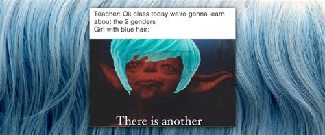 Blue Hair Is a Liberal Trait, According to Triggered。